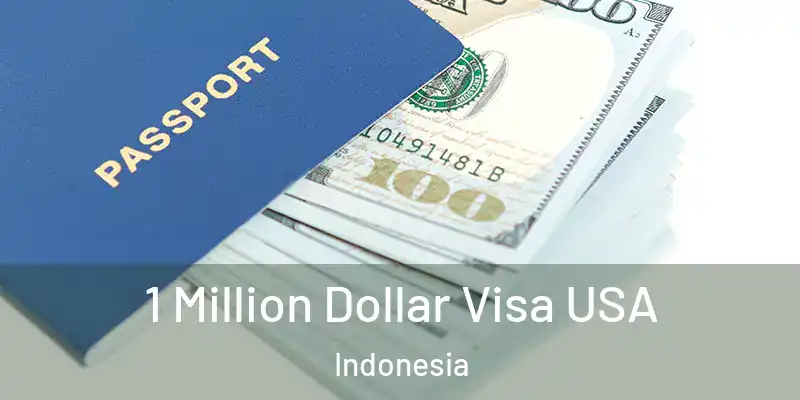 1 Million Dollar Visa USA Indonesia